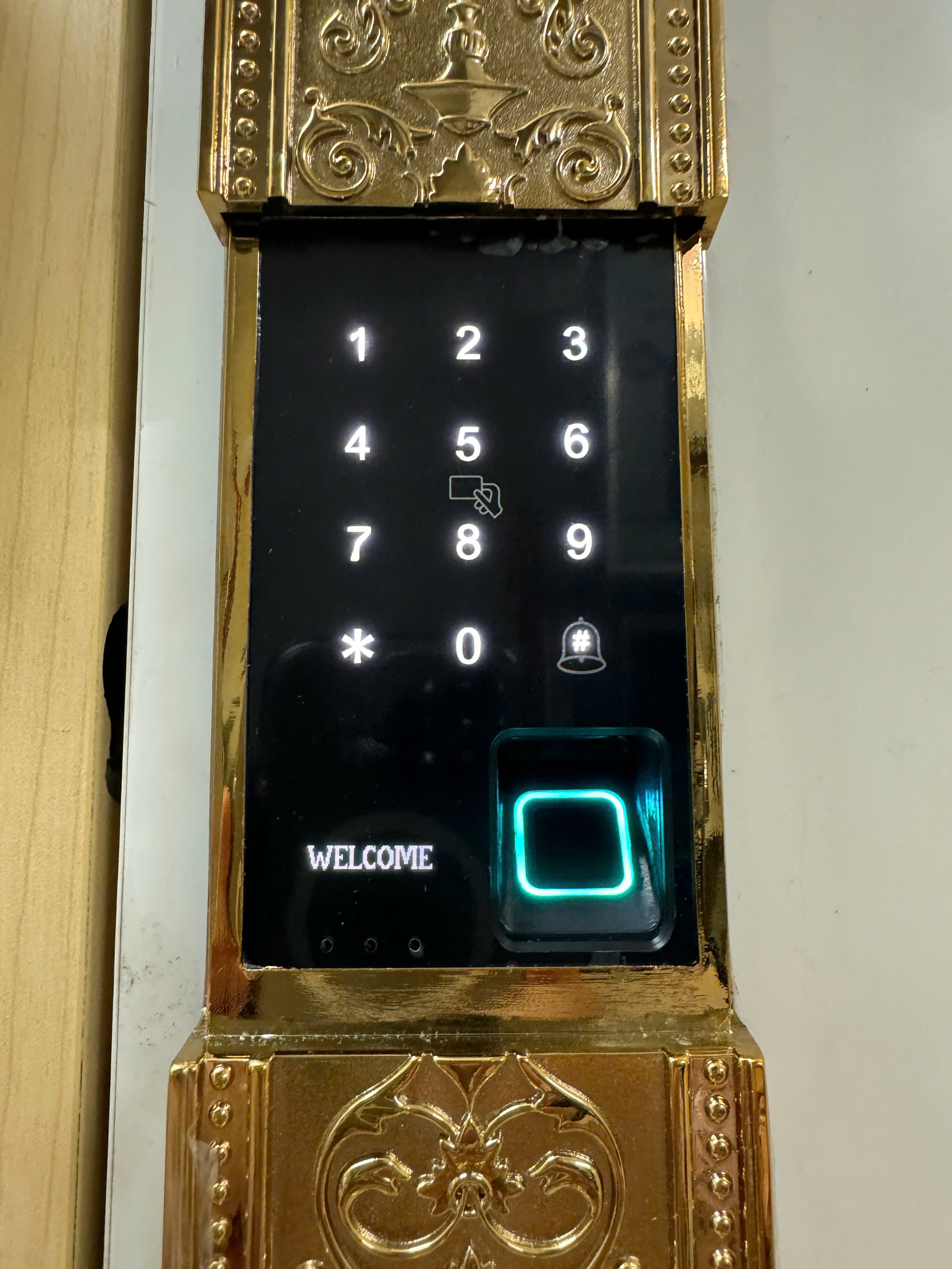 màn hình Khóa đại sảnh Kassler KL-939