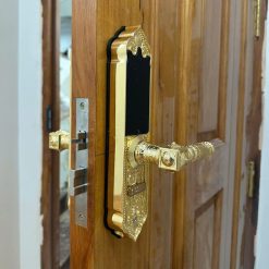 Khóa đại sảnh vân tay Kassler KL-919