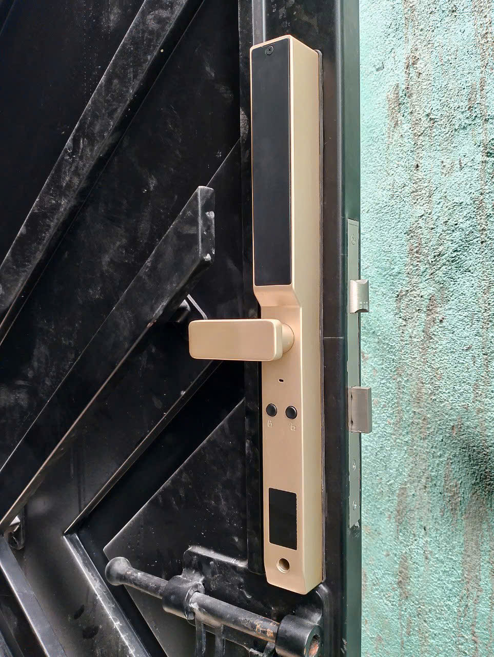 Kassler KL 599 Pro Champage Gold App