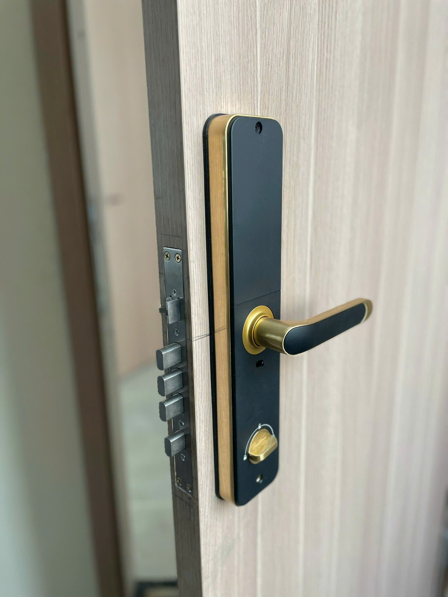 Khoá Vân Tay Kassler KL-696 Gold App mặt trong