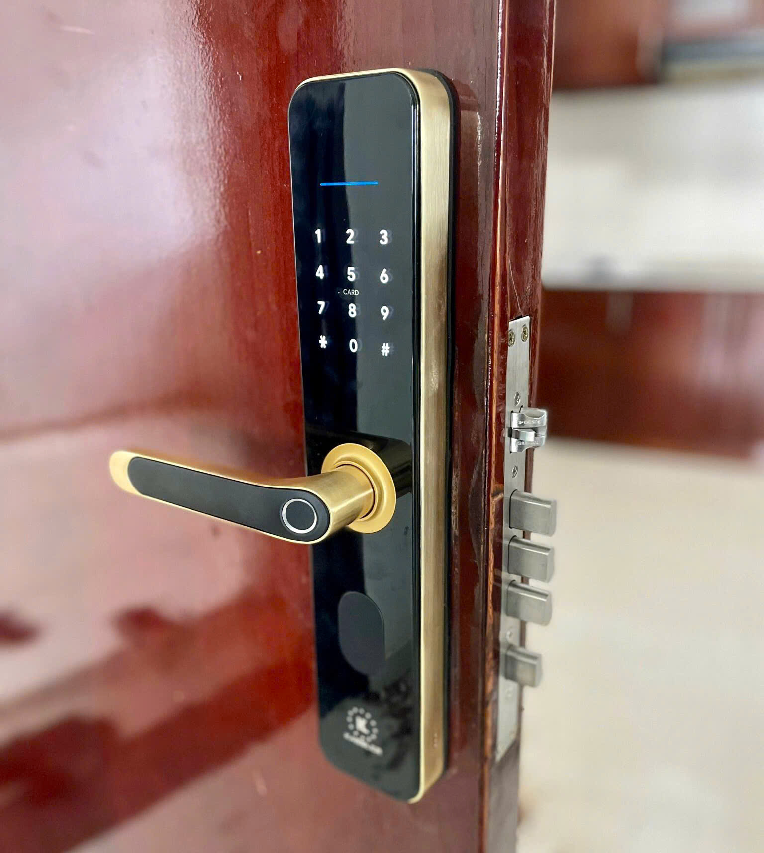 Khoá Vân Tay Kassler KL-696 Gold App