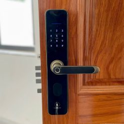 Khoá Vân Tay Kassler KL-696 Gold App mặt ngoài