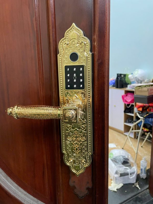 Khóa Vân Tay Đại Sảnh Kassler KL-919 Pro Gold
