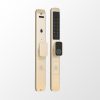 Khóa vân tay cửa nhôm Kassler KL-599TN Champagne Gold