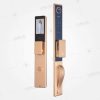 Mua Khoá Vân Tay Đại Sảnh Kassler KL-988 CNC Champagne Gold chính hãng